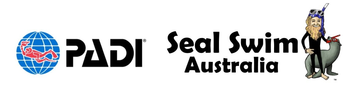 Seal swim Australia PADI Dive Resort